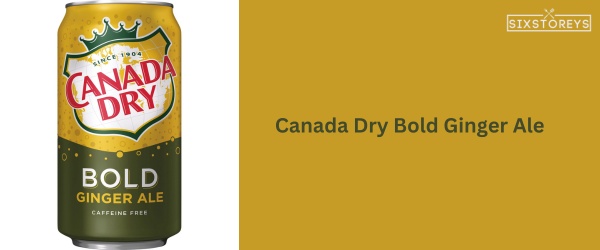 Canada Dry Bold Ginger Ale - Best Canada Dry Flavor of 2023