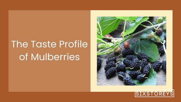 Mulberry Vs Blackberry: Which is Worth the Hype? 3 The Taste Profile of Mulberries