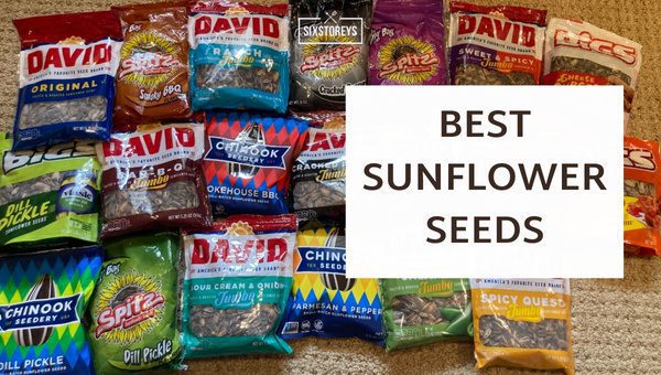 Best Sunflower Seeds in 2023