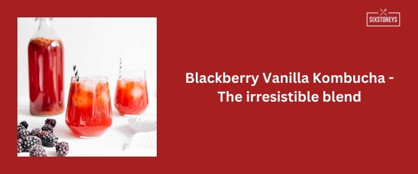 Blackberry Vanilla Kombucha - Best Kombucha Flavor