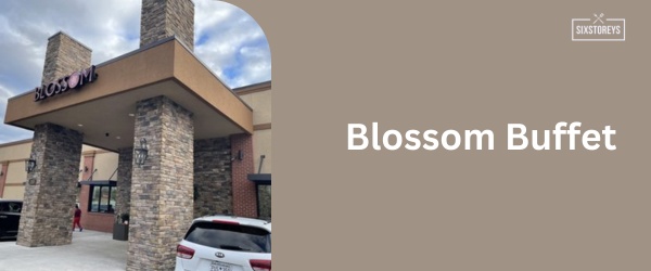 Blossom Buffet - Best All You Can Eat Sushi in Columbia