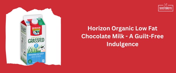 Horizon Organic Low Fat Chocolate Milk - Best Chocolate Milk