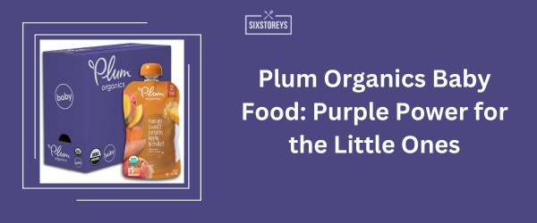 Plum Organics Baby Food - Best Purple Snack Idea