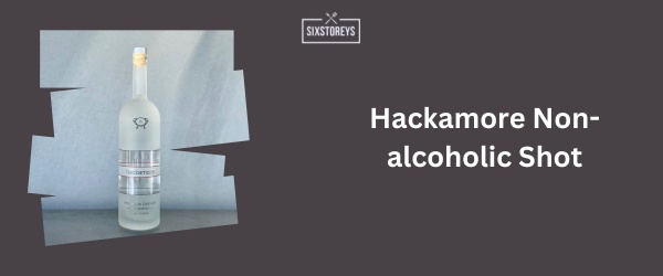 Hackamore Non-alcoholic Shot - Best Non-Alcoholic Vodka