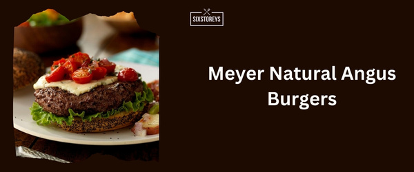 Meyer Natural Angus Burgers - Best Frozen Burger Brand 2024