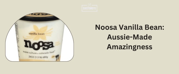 Noosa Vanilla Bean - Best Vanilla Yogurt Brand