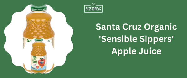 Santa Cruz Organic 'Sensible Sippers' Apple Juice - Best Apple Juice Brand