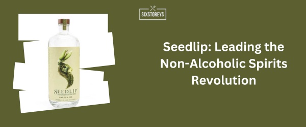 Seedlip - Best Non-Alcoholic Vodka