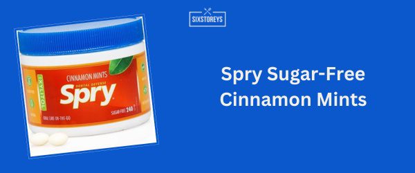 Spry Sugar-Free Cinnamon Mints - Best Sugar-Free Candy of 2025