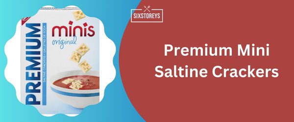 Premium Mini Saltine Crackers - Best Saltine Cracker 2024