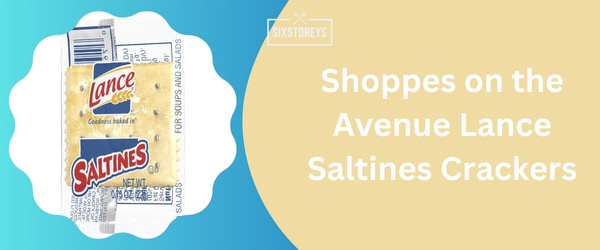 Shoppes on the Avenue Lance Saltines Crackers - Best Saltine Cracker 2024