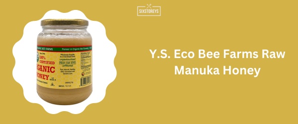 Y.S. Eco Bee Farms Raw Manuka Honey - Best Manuka Honey Brand 2024