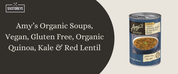 Amy’s Organic Soups, Vegan, Gluten Free, Organic Quinoa, Kale & Red Lentil - Best Canned Soup of 2024