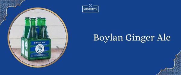 Boylan Ginger Ale - Best Ginger Ale (2025)
