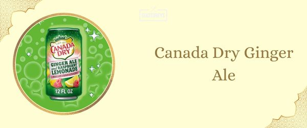 Canada Dry Ginger Ale - Best Ginger Ale (2025)