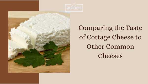 Comparing the Taste of Cottage Cheese to Other Common Cheeses