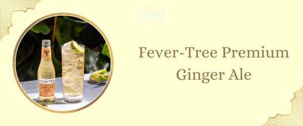 Fever-Tree Premium Ginger Ale - Best Ginger Ale (2025)