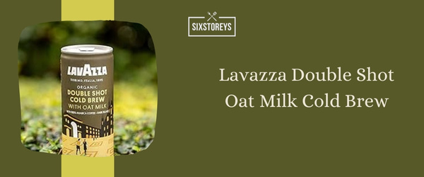 Lavazza Double Shot Oat Milk Cold Brew - Best Cold Brew Coffee to Drink in 2024