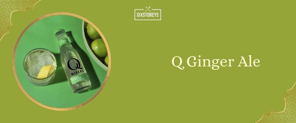 Q Ginger Ale - Best Ginger Ale (2025)