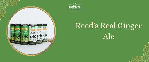 Reed's Real Ginger Ale - Best Ginger Ale (2025)