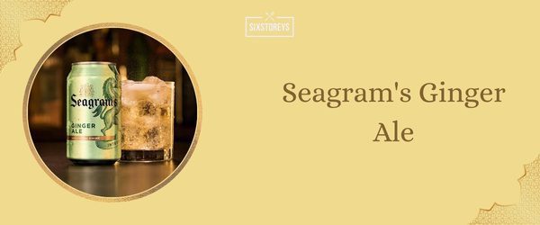 Seagram's Ginger Ale - Best Ginger Ale (2025)