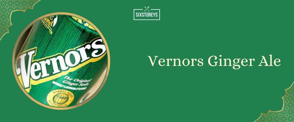 Vernors Ginger Ale - Best Ginger Ale (2025)