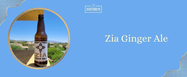 Zia Ginger Ale - Best Ginger Ale (2025)
