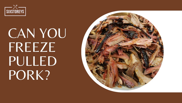 Can you Freeze Pulled Pork?