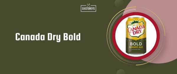 Canada Dry Bold - Best Soda to Drink in 2024