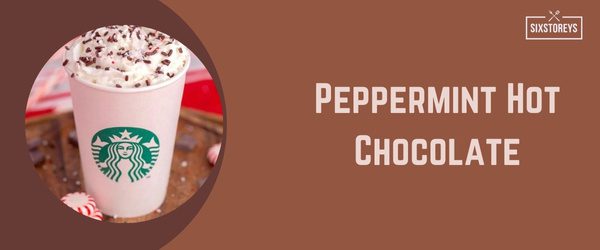 Peppermint Hot Chocolate - Best Hot Drink at Starbucks in 2024