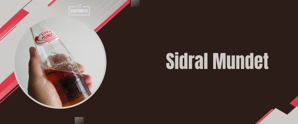Sidral Mundet  - Best Gas Station Drink of 2024