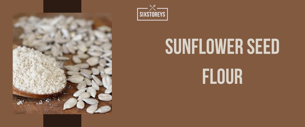 Sunflower Seed Flour - Best Coconut Flour Substitute of 2024