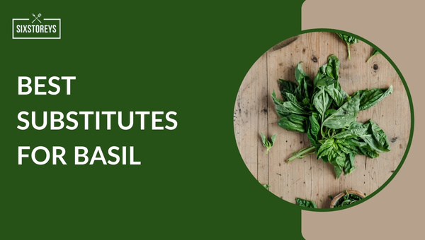 Best Substitutes for Basil in 2024