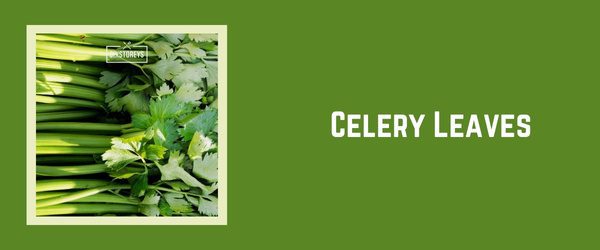 Celery Leaves