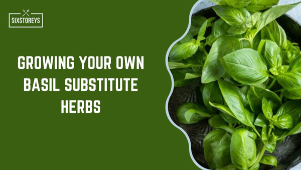 Growing Your Own Basil Substitute Herbs