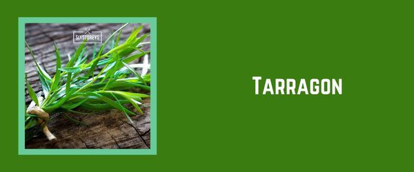 Tarragon