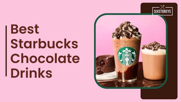 Best Starbucks Chocolate Drinks of 2024